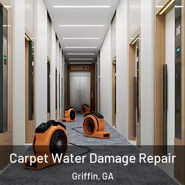  Carpet Water Damage Repair Griffin, GA