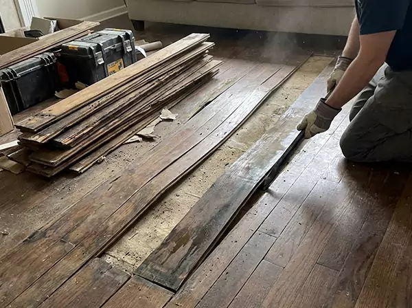 Water Damage Drying in Griffin