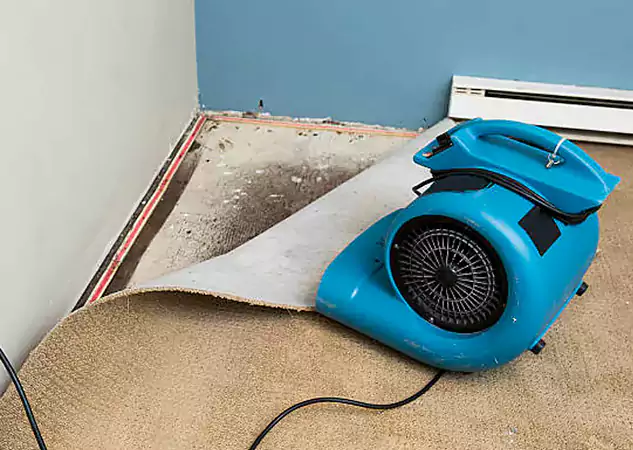 Your Water Damage Experts in Griffin, GA