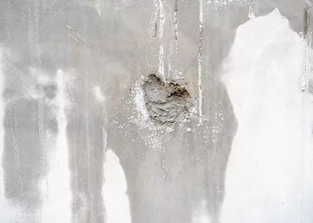 Your Mold Mitigation Solutions Partner in Griffin, GA