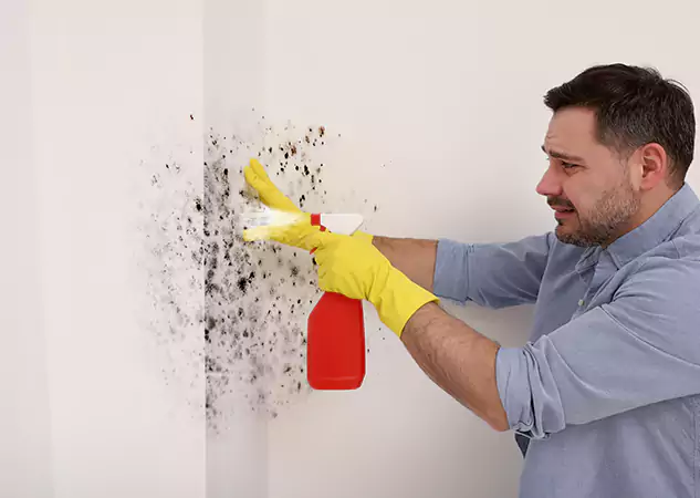 Your Water Mold Fire Restoration Partner in Griffin, GA