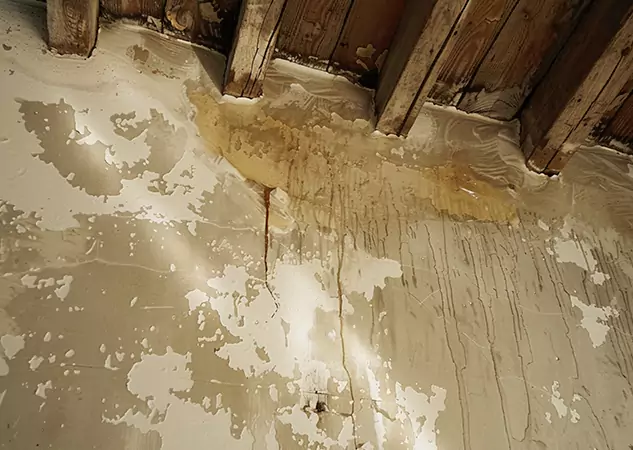 Your Trusted Restoration Company in Griffin, GA