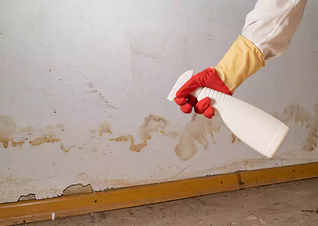 Your Water Restoration and Mold Remediation Specialists in Griffin, GA