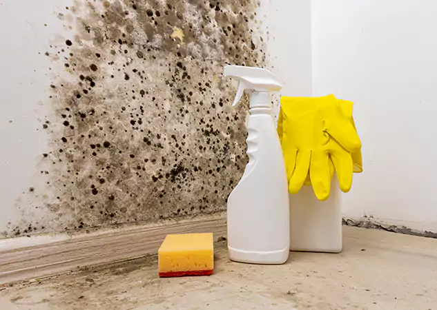 Your Reliable Restoration Company in Griffin, GA