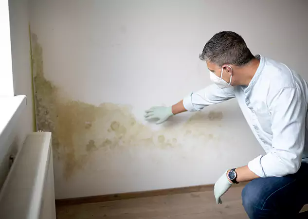 Reach Our Remediation Team Before Damage Grows in Griffin, GA!
