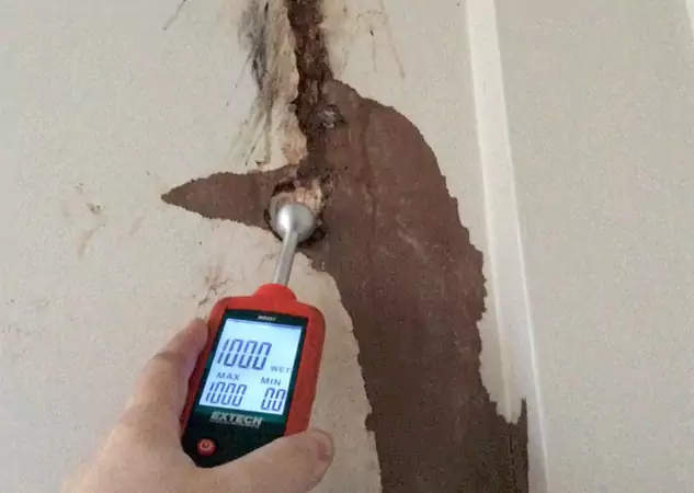 Your Water Damage Assessment Partner in Griffin, GA
