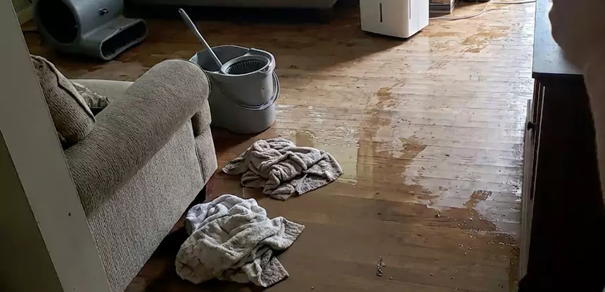 Professional Basement Water Remediation Services in Griffin, GA