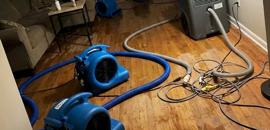Basement Flood Restoration Services in Griffin
