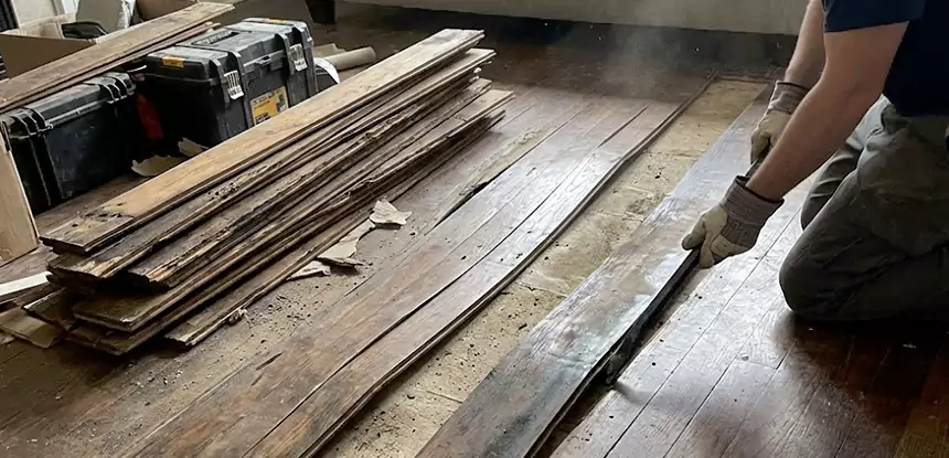 Wood Rot and Fungus Repair in Griffin