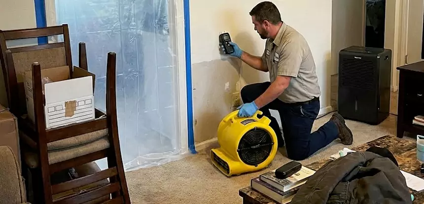 Carpet Water Damage Repair Griffin