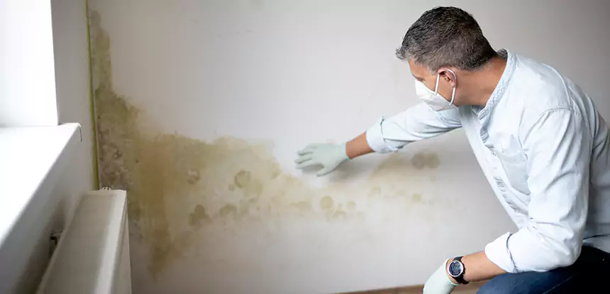 Mold and Water Damage Repair in Griffin
