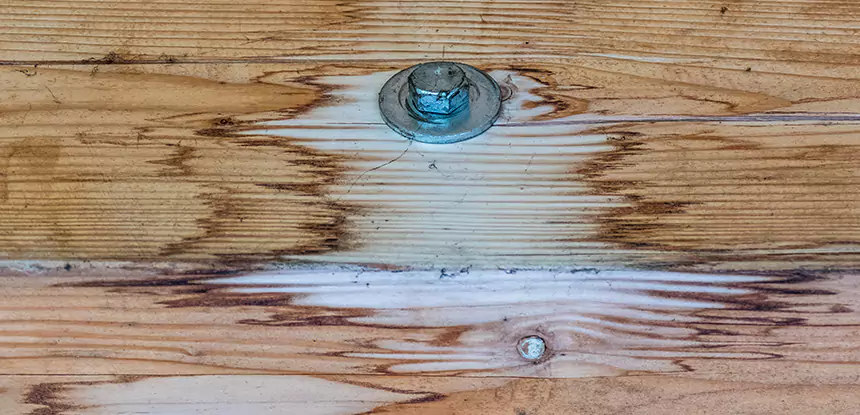 Fixing Water Marks on Wood in Griffin