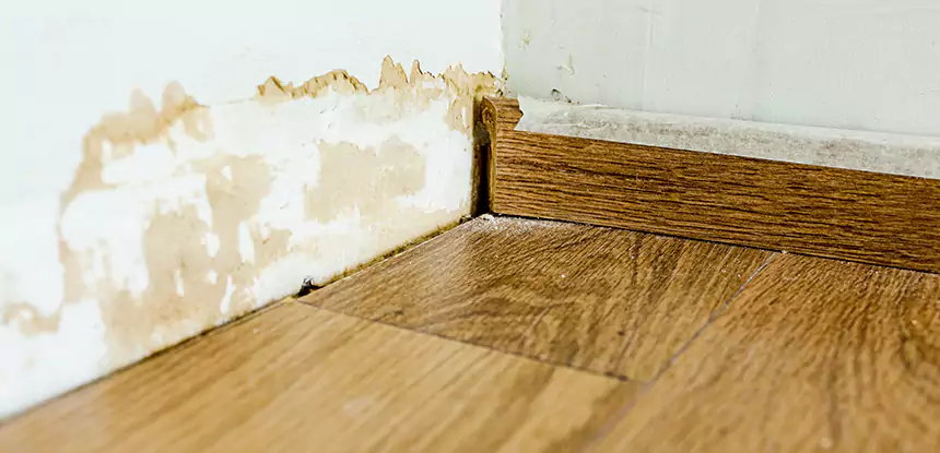 Professional Fix Water Damaged Wood Services in Griffin, GA