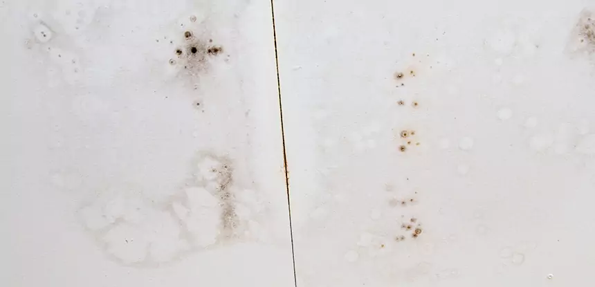Professional Water Stain Repair Services in Griffin, GA