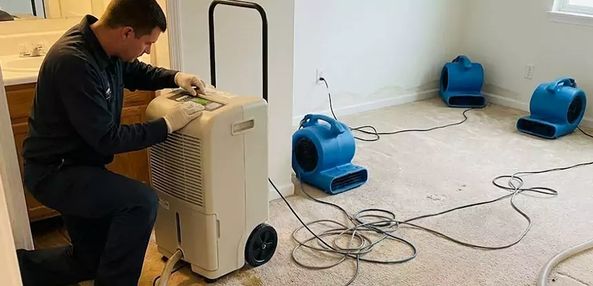 Professional Wet Carpet Removal Services in Griffin, GA
