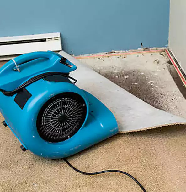 Why Griffin Trusts Griffin Restoration Pro for Carpet Flood Recovery?