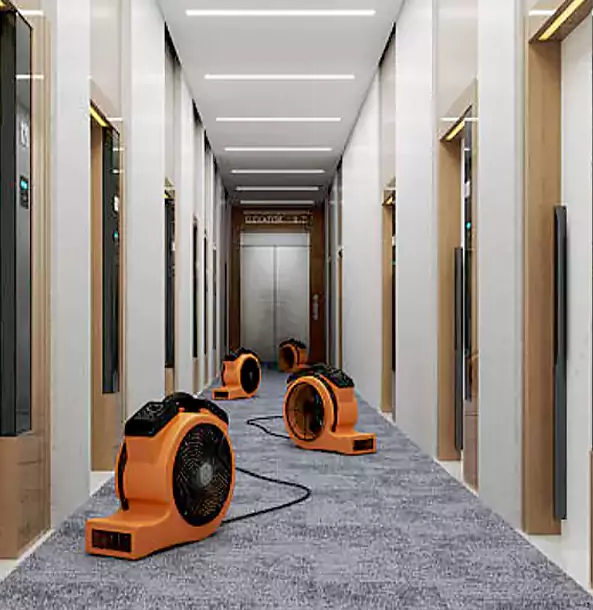 Why Griffin Trusts Griffin Restoration Pro?