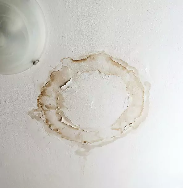 Why Griffin Property Owners Choose Griffin Restoration Pro for Ceiling Water Damage Restoration?
