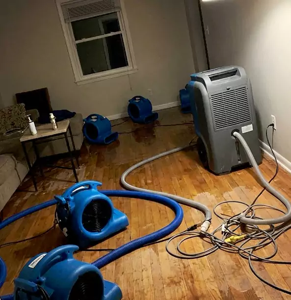 Why Griffin Calls Griffin Restoration Pro First for Emergency Restoration?