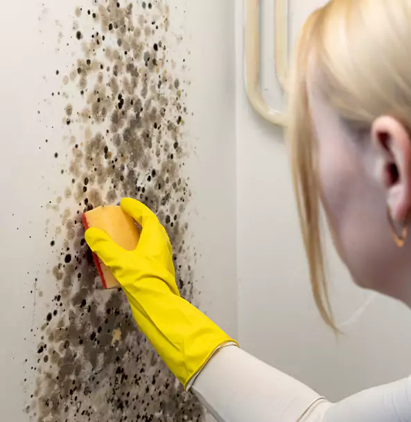 Why Griffin Restoration Pro Leads Mold Remediation in Griffin?