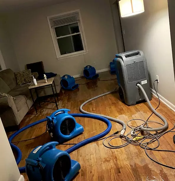 Why Griffin Property Owners Rely on Griffin Restoration Pro for Remediation?