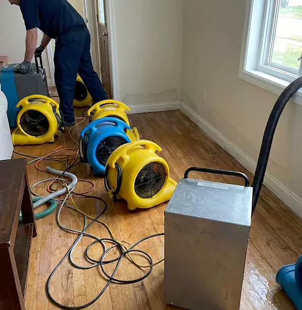 Why Griffin Property Owners Choose Griffin Restoration Pro for Remediation?