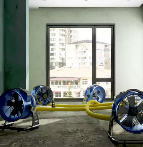 Why Griffin Property Owners Trust Griffin Restoration Pro for Water Damage Drying?
