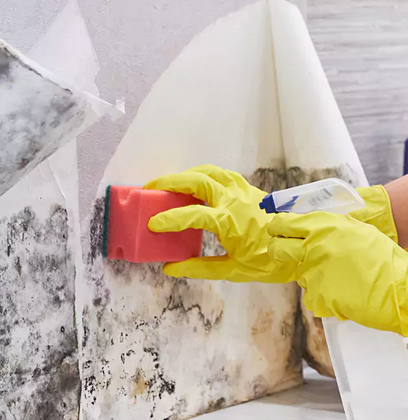 Why Griffin Trusts Griffin Restoration Pro for Mold and Water Restoration?