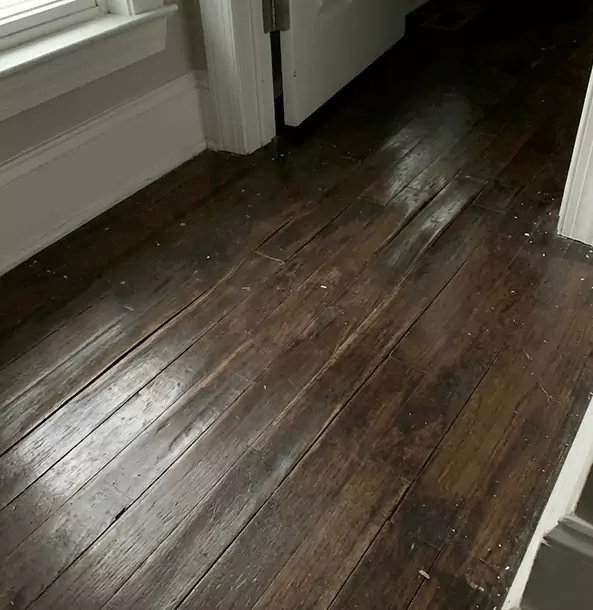 Why Griffin Homeowners Trust Griffin Restoration Pro to Fix Water Damaged Wood?