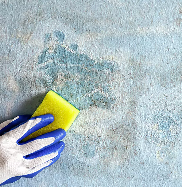Why Griffin Restoration Pro Is the Right Choice in Griffin, GA?