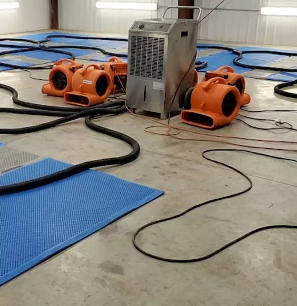 Why Griffin Homeowners and Businesses Choose Griffin Restoration Pro for Wet Carpet Removal?