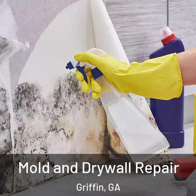  Mold and Drywall Repair Griffin, GA