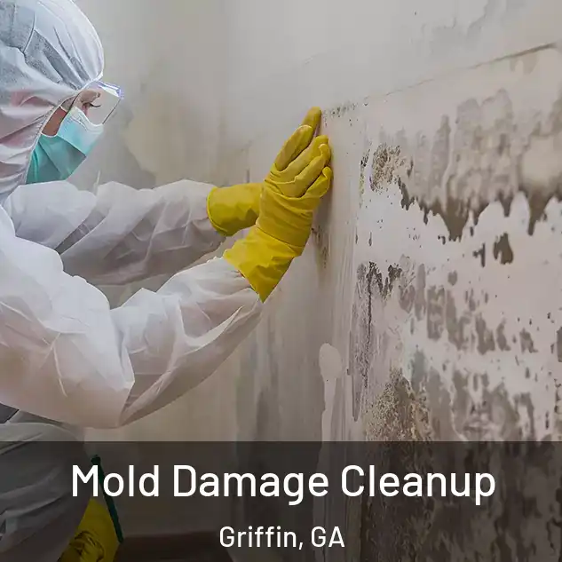  Mold Damage Cleanup Griffin, GA