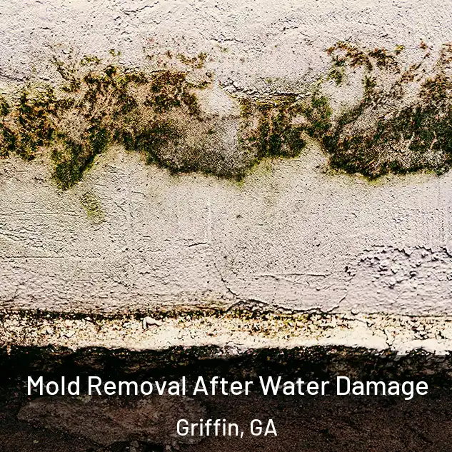  Mold Removal After Water Damage Griffin, GA