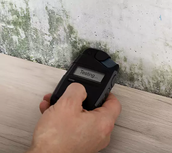 Mold Remediation Service Griffin