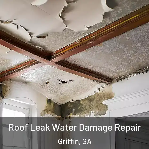  Roof Leak Water Damage Repair Griffin, GA