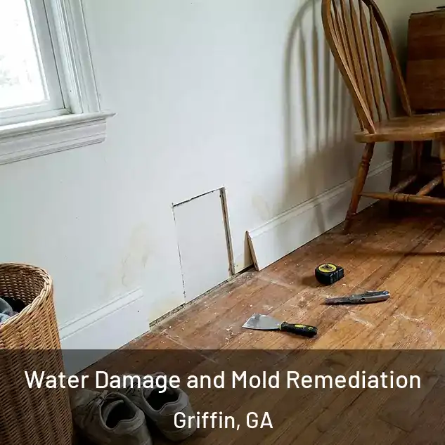  Water Damage and Mold Remediation Griffin, GA