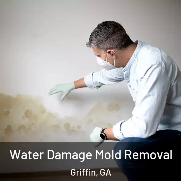  Water Damage Mold Removal Griffin, GA