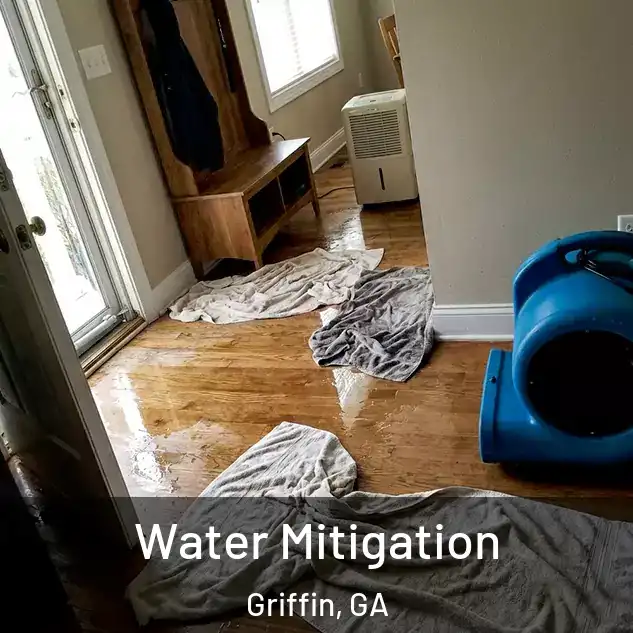  Water Mitigation Griffin, GA