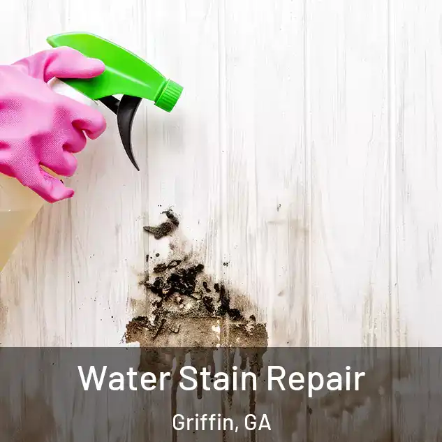  Water Stain Repair Griffin, GA