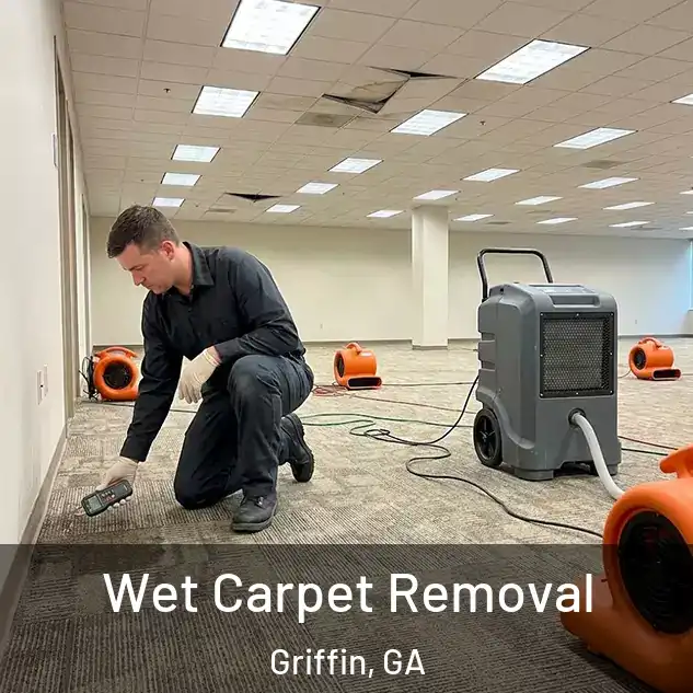  Wet Carpet Removal Griffin, GA